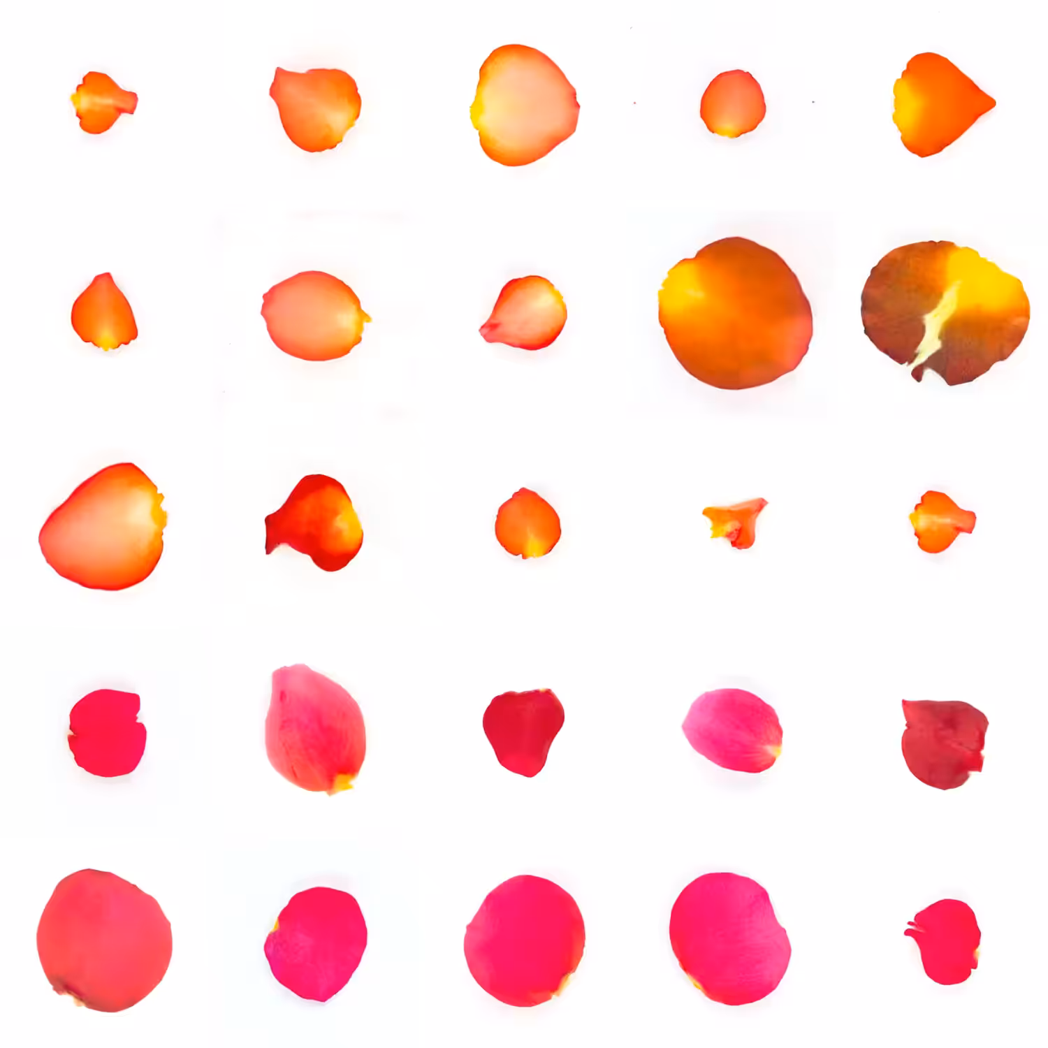 Infinite Petals 5x5#20500