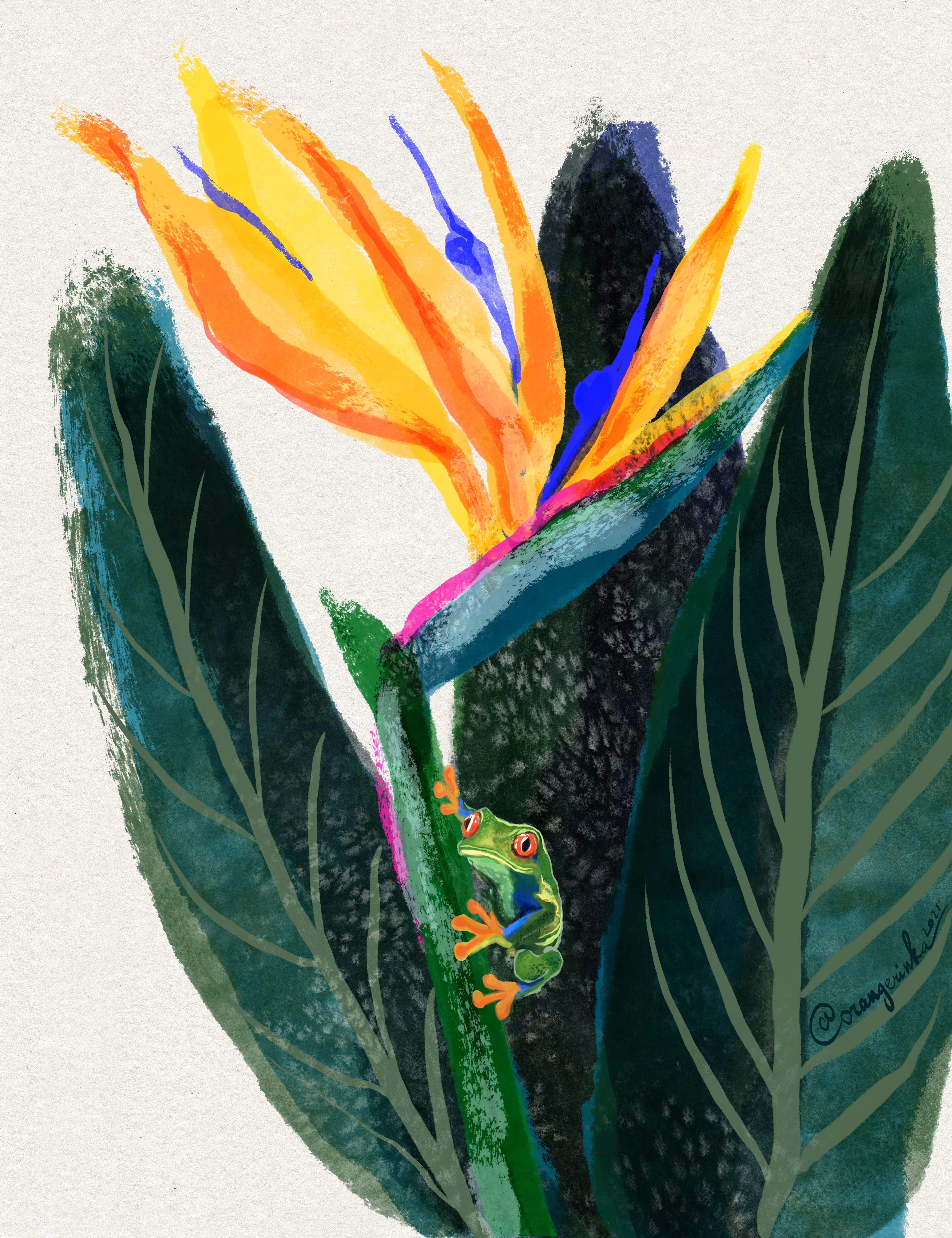 Tree Frog