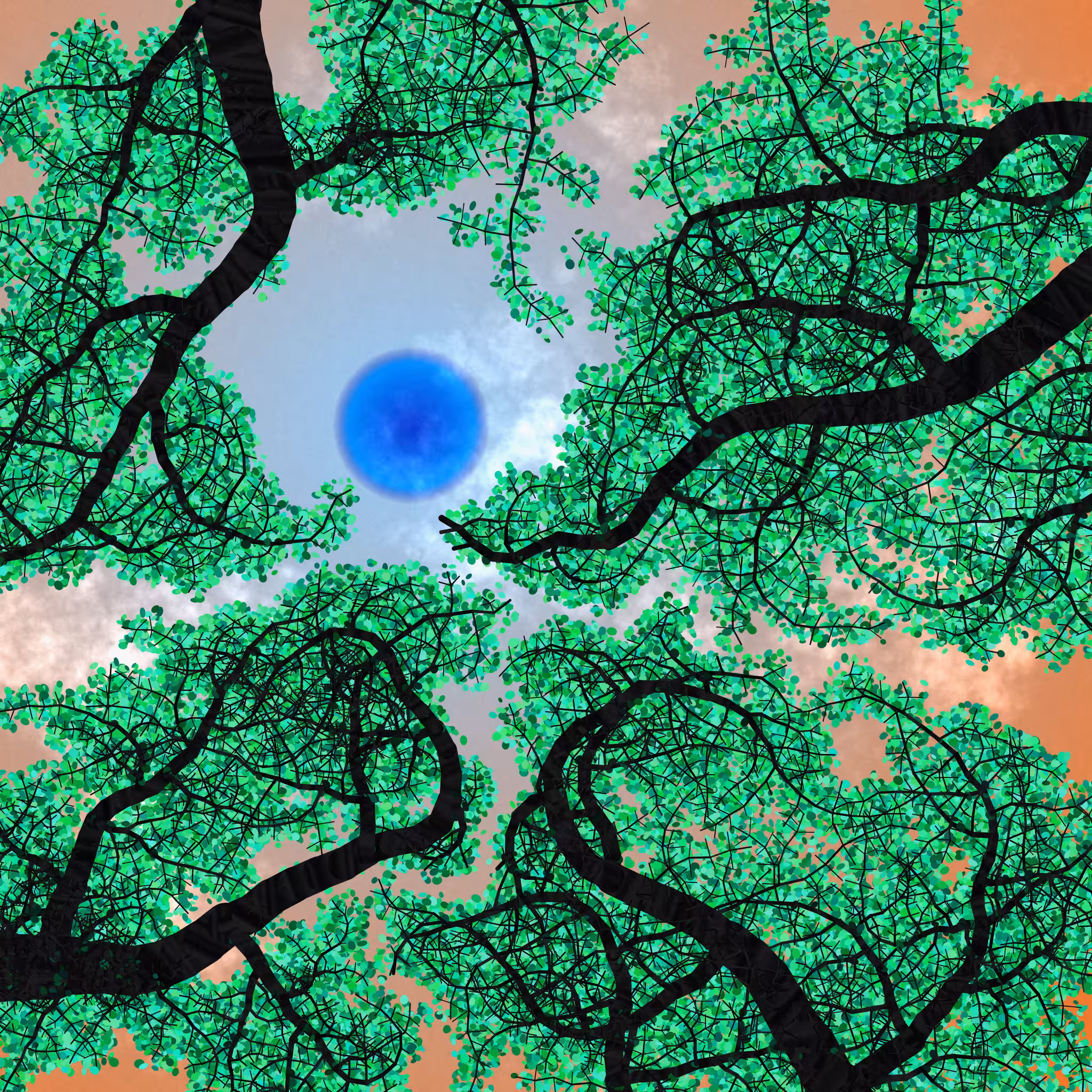 Tree Skyness #202
