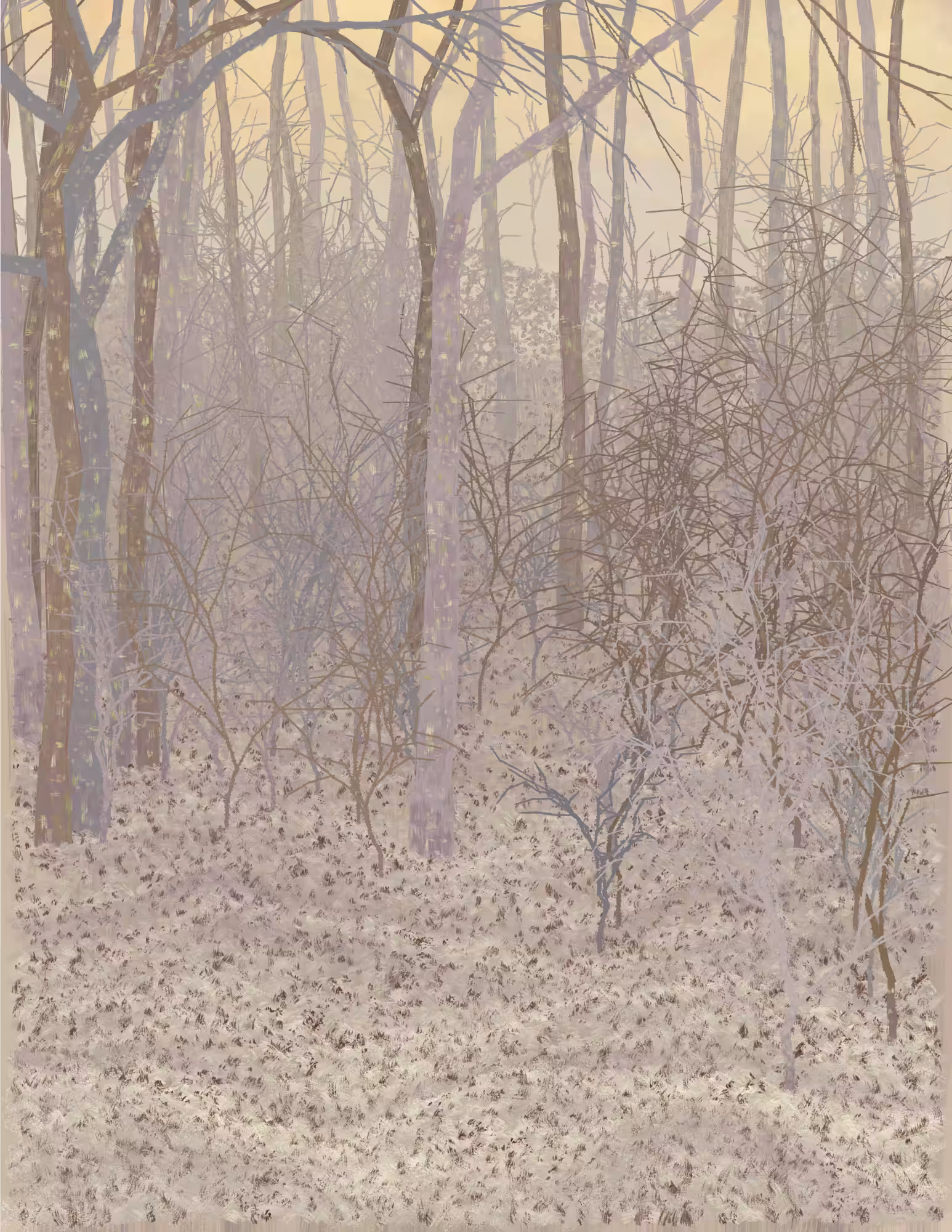 Deep Forest #141